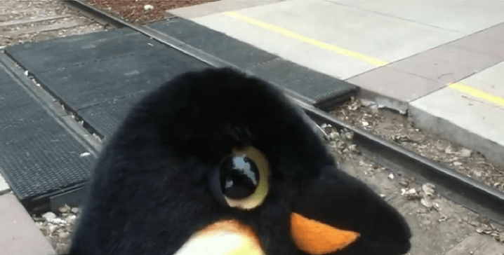 20,000 Hits Bonus Video!