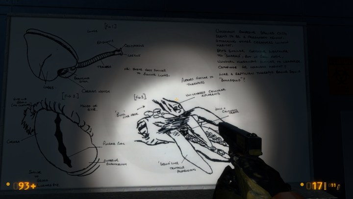 Bullsquid Whiteboard