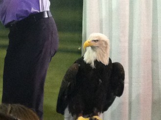 Gives a new meaning to "The Bird's Nest"