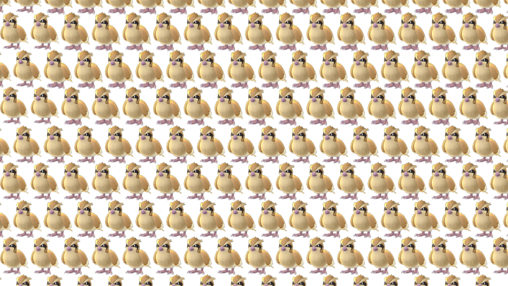 pidgey_pidgey_pidgey.0.0.png