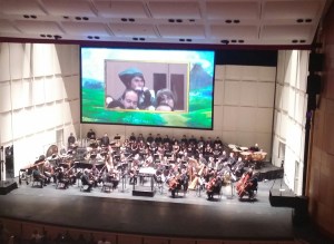 A Link cosplayer in the audience playing the ocarina.